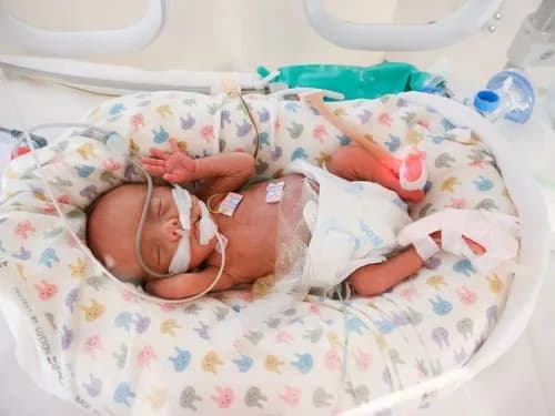 【朗報】少子化を解決する方法、ついに見つかるwwwwwwwwww