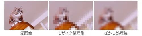 【朗報】最近のAVのモザイク破壊技術、ガチで進化しすぎててとんでもないことになるwwwwwwwwww