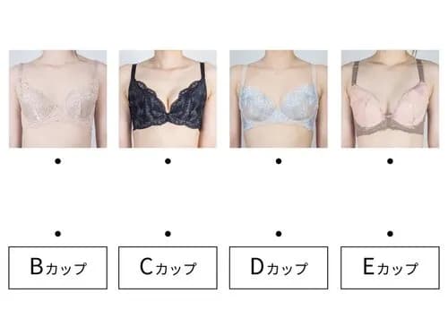 【悲報】男さんが思うAカップはCカップで、Cカップだと思ってるのはFカップだった件wwwwwwwwww