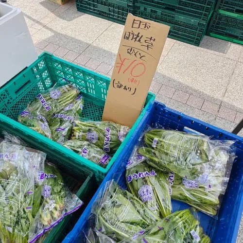 【悲報】近所のグエンさんがやってる八百屋、安すぎて今日も大盛況wwwwwwwwww