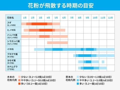 【悲報】未だにマスクしてる奴さん、ガチの正体がヤバすぎるwwwwwwwwww