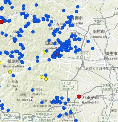 【悲報】クマさん、東京都内の住宅街にガチで出没してしまうwwwwwwwwww