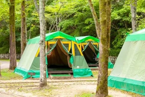 【悲報】43歳会社員さん、愛知から函館のキャンプ場まで行って10代女性の靴下を盗んでしまう・・・・・・・・・