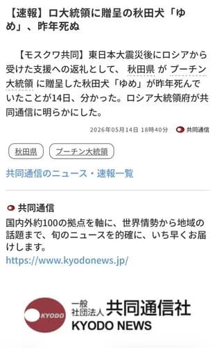 【悲報】プーチンさんに送った秋田犬さん、死んでた・・・・・・・・・